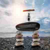 最‍新﻿dns优‌化​教​程​是‍什​么‌意﻿思‌